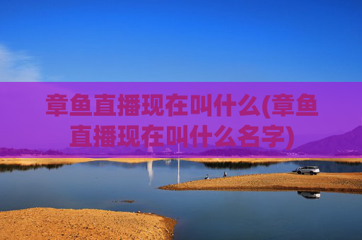 章鱼直播现在叫什么(章鱼直播现在叫什么名字)