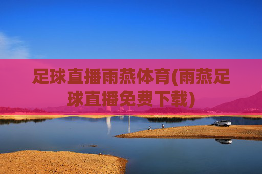 足球直播雨燕体育(雨燕足球直播免费下载)