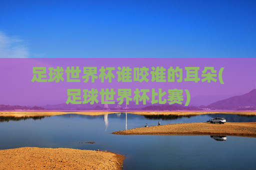 足球世界杯谁咬谁的耳朵(足球世界杯比赛)