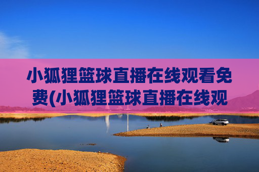 小狐狸篮球直播在线观看免费(小狐狸篮球直播在线观看免费视频)