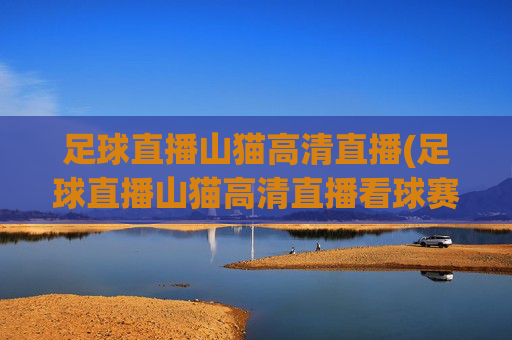 足球直播山猫高清直播(足球直播山猫高清直播看球赛.hgw.xinnianhaoli.香港)(1)