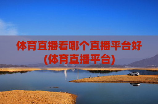 体育直播看哪个直播平台好(体育直播平台)