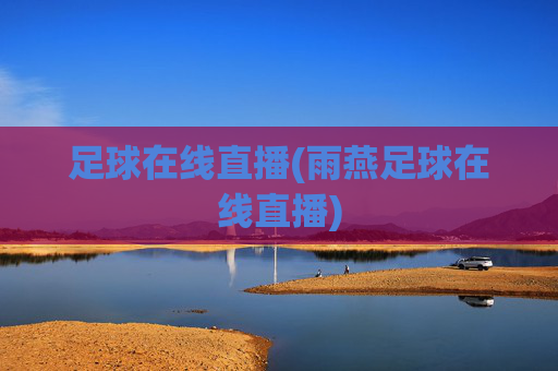 足球在线直播(雨燕足球在线直播)