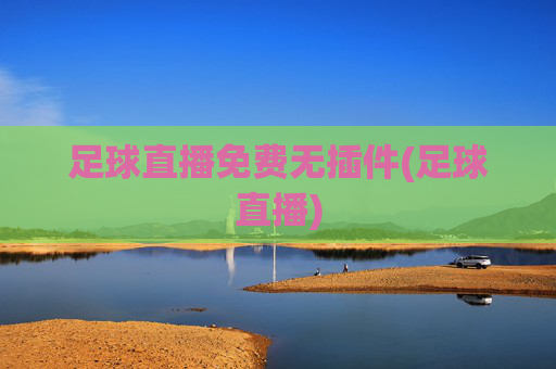 足球直播免费无插件(足球直播)