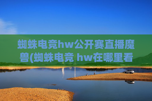 蜘蛛电竞hw公开赛直播魔兽(蜘蛛电竞 hw在哪里看)