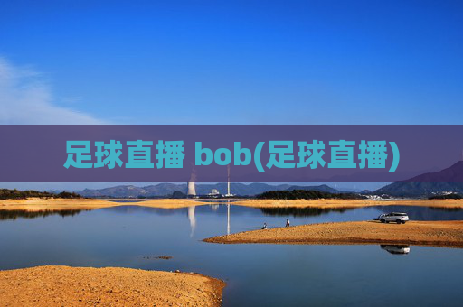 足球直播 bob(足球直播)