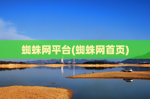 蜘蛛网平台(蜘蛛网首页)