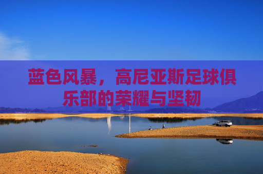 蓝色风暴，高尼亚斯足球俱乐部的荣耀与坚韧