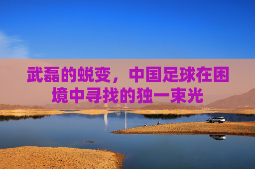 武磊的蜕变,中国足球在困境中寻找的独一束光