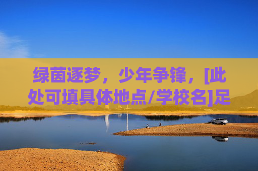 绿茵逐梦，少年争锋，[此处可填具体地点/学校名]足球小学男超联赛激情开赛！