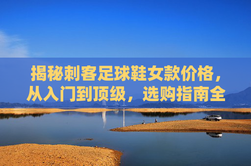 揭秘刺客足球鞋女款价格，从入门到顶级，选购指南全解析