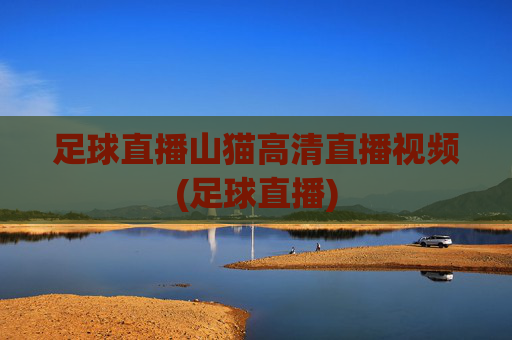 足球直播山猫高清直播视频(足球直播)