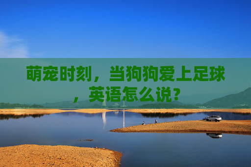 萌宠时刻,当狗狗爱上足球,英语怎么说?