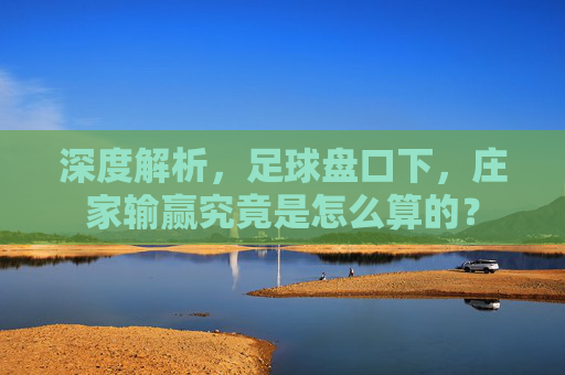 深度解析,足球盘口下,庄家输赢究竟是怎么算的?