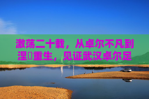 激荡二十载，从卓尔不凡到涅槃重生，见证武汉卓尔足球俱乐部的风雨兼程