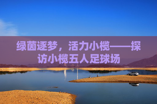 绿茵逐梦,活力小榄——探访小榄五人足球场