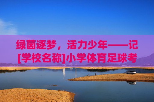 绿茵逐梦，活力少年——记[学校名称]小学体育足球考核