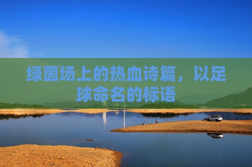 绿茵场上的热血诗篇,以足球命名的标语