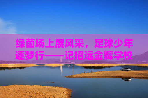 绿茵场上展风采,足球少年逐梦行——记招远金辉学校足球比赛