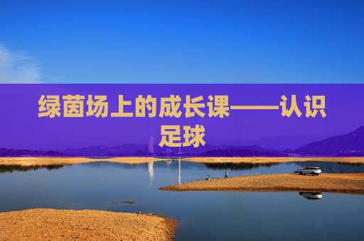 绿茵场上的成长课——认识足球