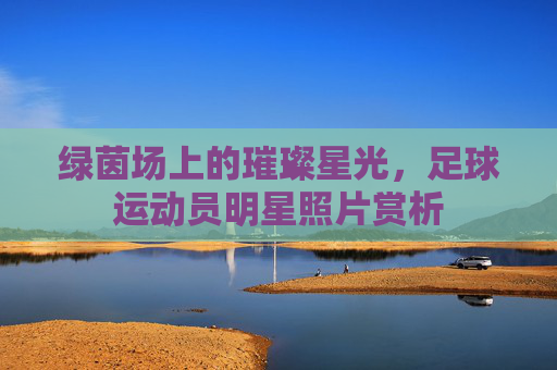 绿茵场上的璀璨星光，足球运动员明星照片赏析