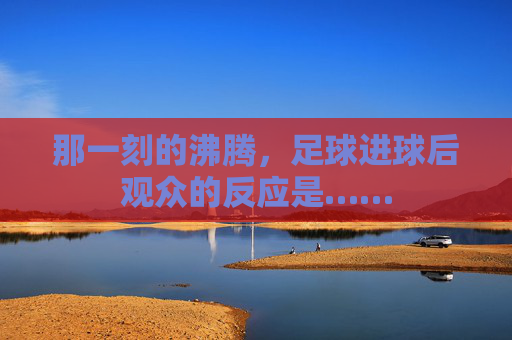 那一刻的沸腾,足球进球后观众的反应是……