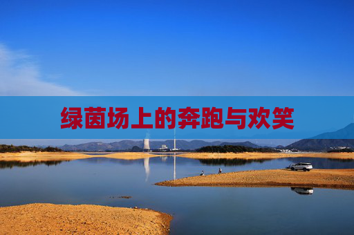 绿茵场上的奔跑与欢笑