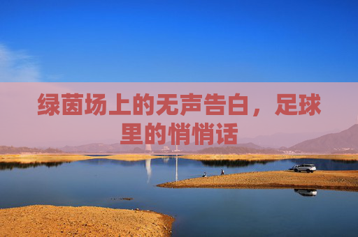 绿茵场上的无声告白,足球里的悄悄话