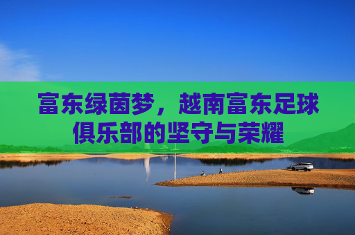 富东绿茵梦，越南富东足球俱乐部的坚守与荣耀
