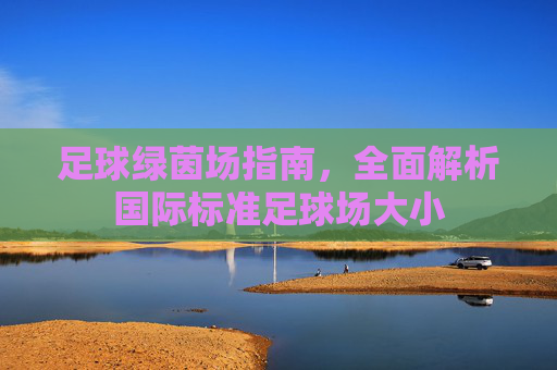 足球绿茵场指南,全面解析国际标准足球场大小