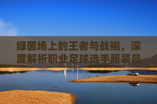 绿茵场上的王者与战袍,深度解析职业足球选手服装品牌的魅力与科技