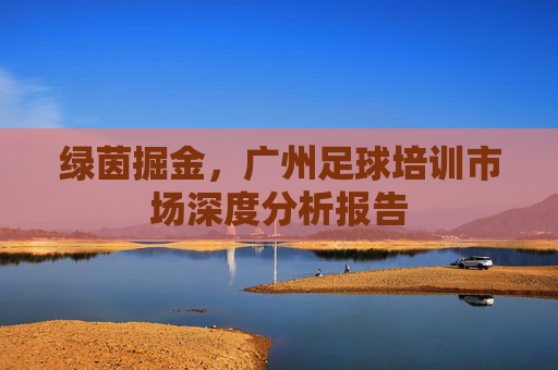 绿茵掘金，广州足球培训市场深度分析报告