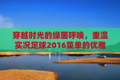 穿越时光的绿茵呼唤，重温实况足球2016菜单的优雅与经典