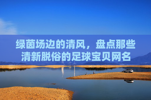 绿茵场边的清风,盘点那些清新脱俗的足球宝贝网名
