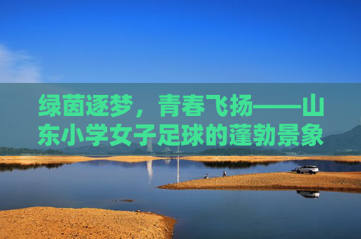 绿茵逐梦,青春飞扬——山东小学女子足球的蓬勃景象
