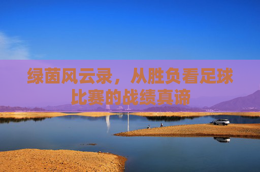 绿茵风云录,从胜负看足球比赛的战绩真谛