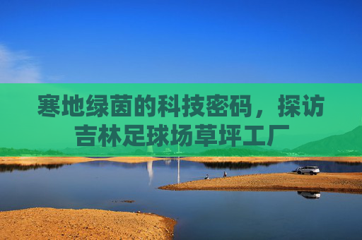 寒地绿茵的科技密码,探访吉林足球场草坪工厂