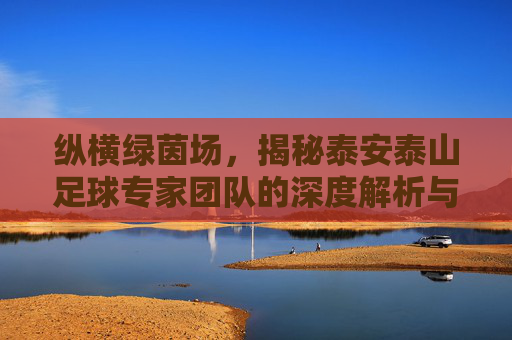 纵横绿茵场，揭秘泰安泰山足球专家团队的深度解析与实战智慧