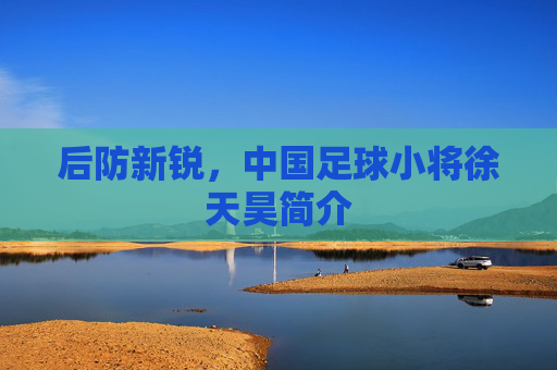 后防新锐，中国足球小将徐天昊简介