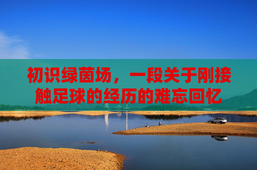 初识绿茵场,一段关于刚接触足球的经历的难忘回忆