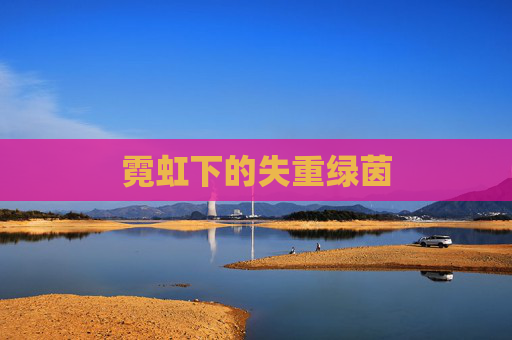 霓虹下的失重绿茵