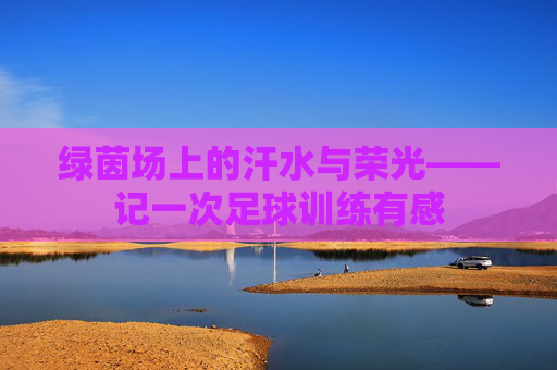 绿茵场上的汗水与荣光——记一次足球训练有感