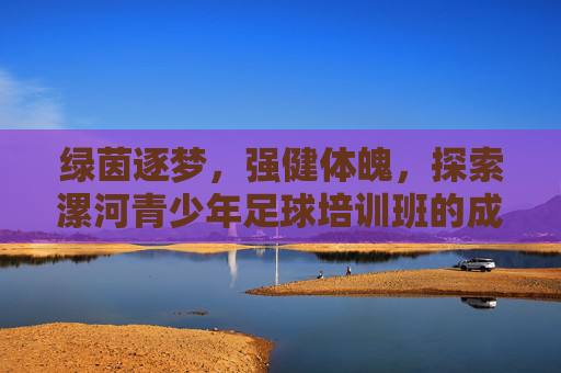 绿茵逐梦,强健体魄,探索漯河青少年足球培训班的成长之路