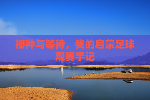 播种与等待,我的启蒙足球观赛手记
