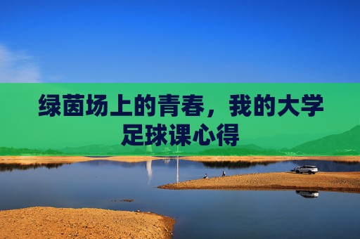 绿茵场上的青春,我的大学足球课心得