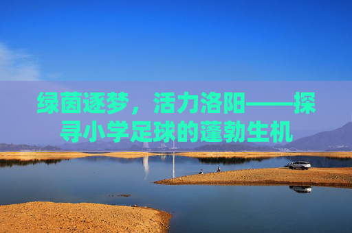 绿茵逐梦，活力洛阳——探寻小学足球的蓬勃生机