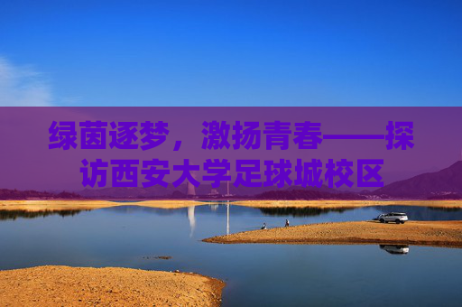 绿茵逐梦,激扬青春——探访西安大学足球城校区