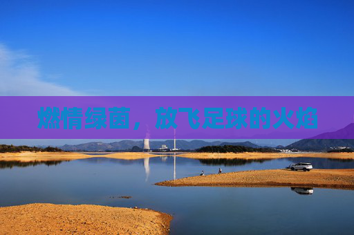 燃情绿茵,放飞足球的火焰