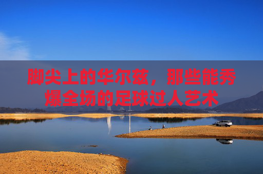 脚尖上的华尔兹,那些能秀爆全场的足球过人艺术