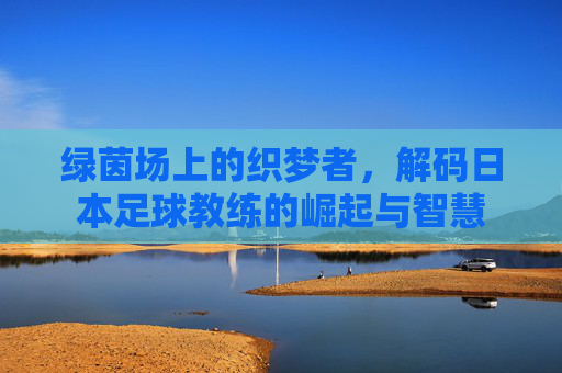 绿茵场上的织梦者,解码日本足球教练的崛起与智慧